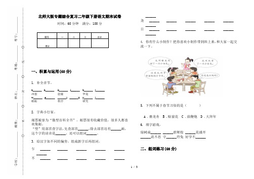 北师大版专题综合复习二年级下册语文期末试卷