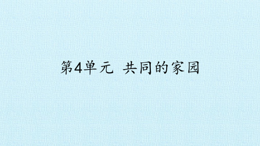 第4单元复习  共同的家园