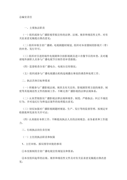 朱久文：深圳卫视电视台总编室的责任制度