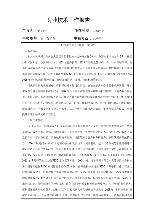 专业技术工作报告