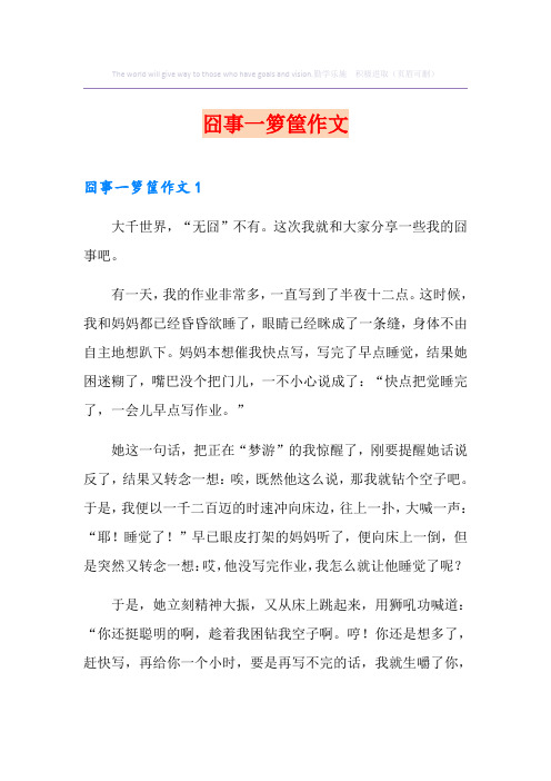 囧事一箩筐作文