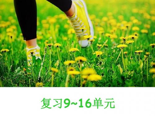 剑桥二级9~16单元复习
