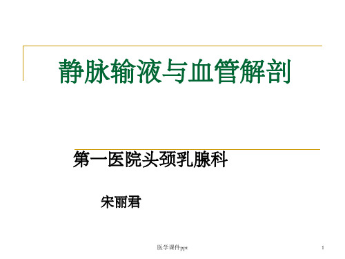 静脉输液与血管解剖