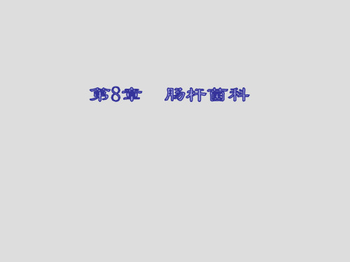肠杆菌科 课件