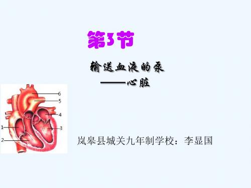 生物人教版七年级下册第三节 输送血液的泵——心脏