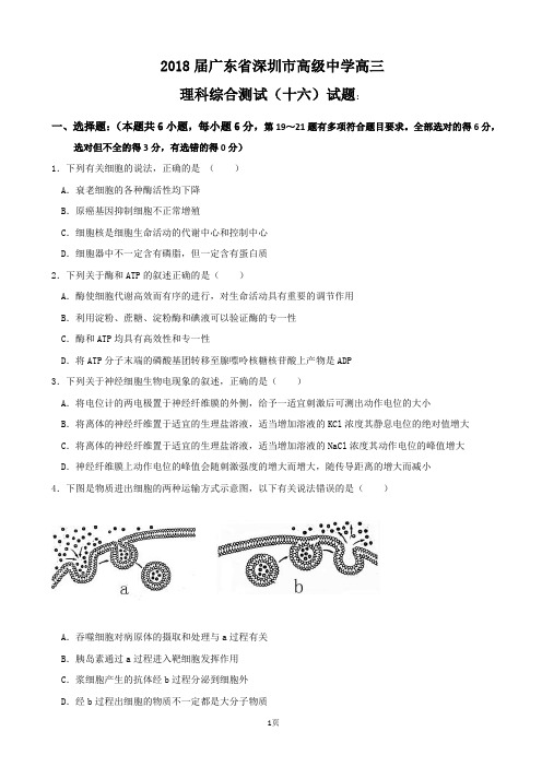 2018届广东省深圳市高级中学高三理科综合测试(十六)试题