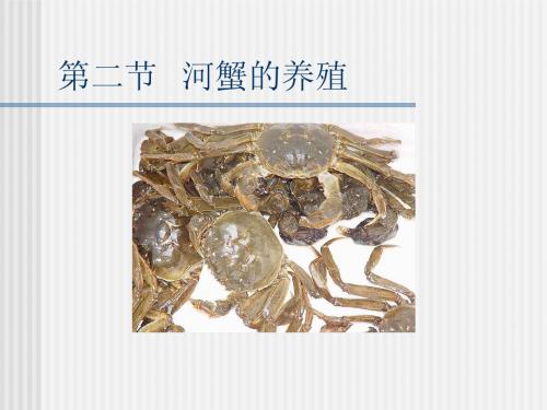 第二节  河蟹的养殖