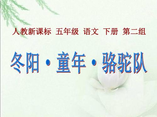 冬阳.童年.骆驼队ppt课件2