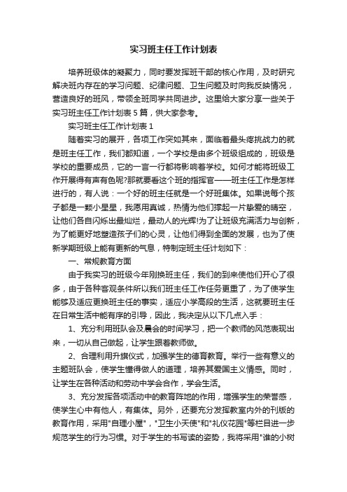 实习班主任工作计划表