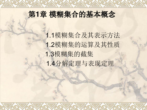 第1章 模糊集合的基本概念