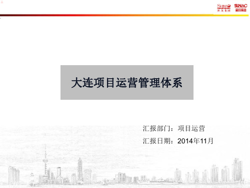 某项目运营管理体系教材(PPT 266页)