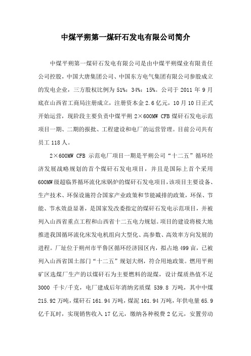 中煤平朔第一煤矸石发电公司简介