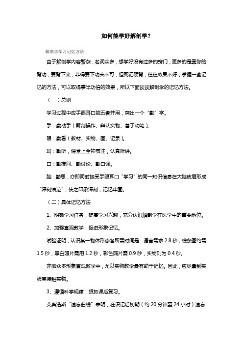 怎样学好解剖学
