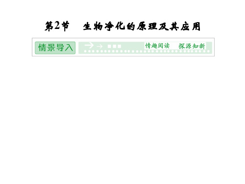 高效课堂同步课件：4-2生物净化的原理及其应用(选修2)