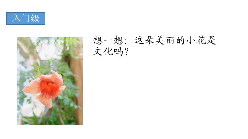 新人教版_高中政治体味文化上课课件PPT