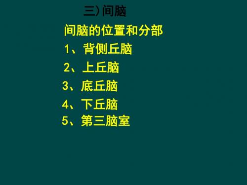 间脑组织