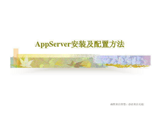 AppServer安装及配置方法共19页