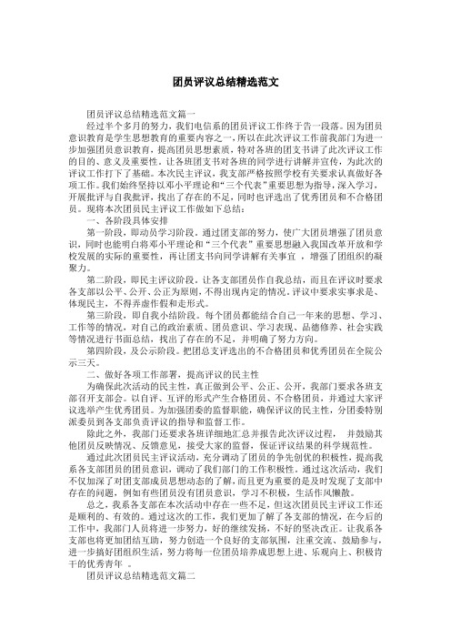 团员评议总结精选范文