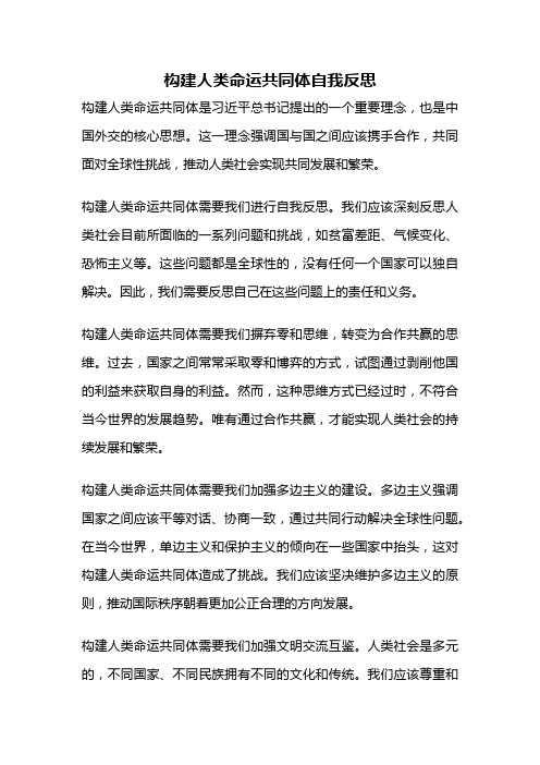 构建人类命运共同体自我反思