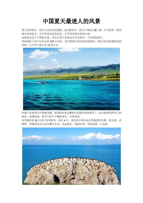 中国夏天最迷人的风景