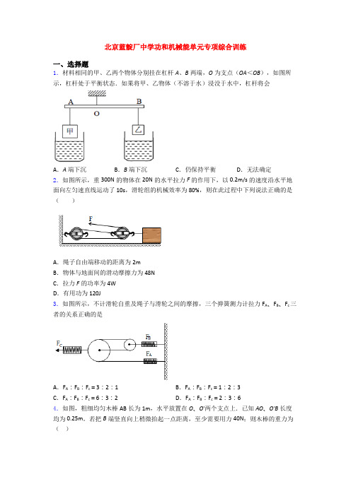 北京蓝靛厂中学功和机械能单元专项综合训练
