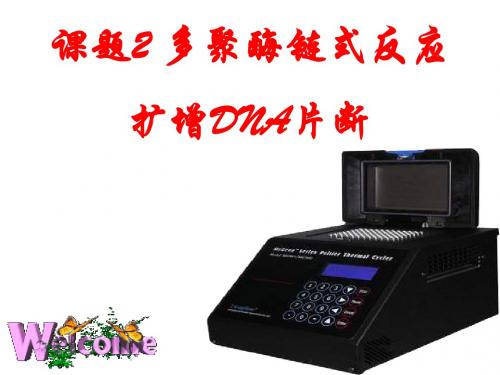 5.2多聚酶链式反应扩增DNA片断
