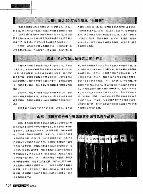 山东：海阳市保护母牛资源培育中国特色肉牛品种