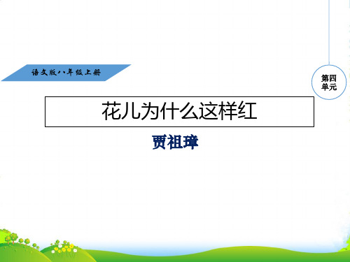 语文版八年级语文上册教学课件3a14.花儿为什么这样红(共22张PPT)
