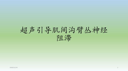 超声引导肌间沟臂丛神经阻滞 ppt课件