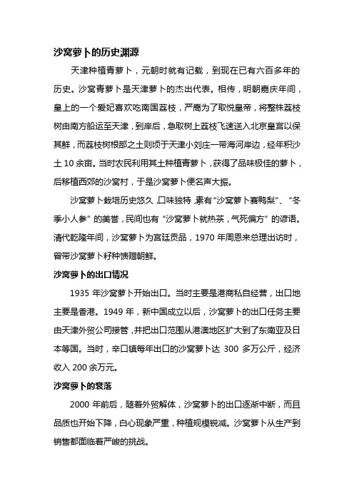 沙窝萝卜历史文化