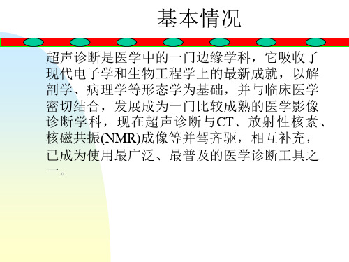 第二章兽医超声诊断ppt课件