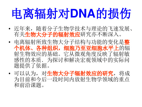 放射生物学电离辐射对DNA的损伤
