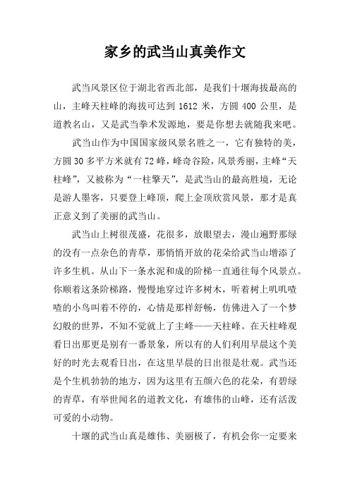 家乡的武当山真美作文