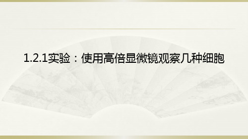 人教版高一生物必修一1.2实验：使用高倍显微镜观察几种细胞课件(共34张ppt) (共34张PPT)