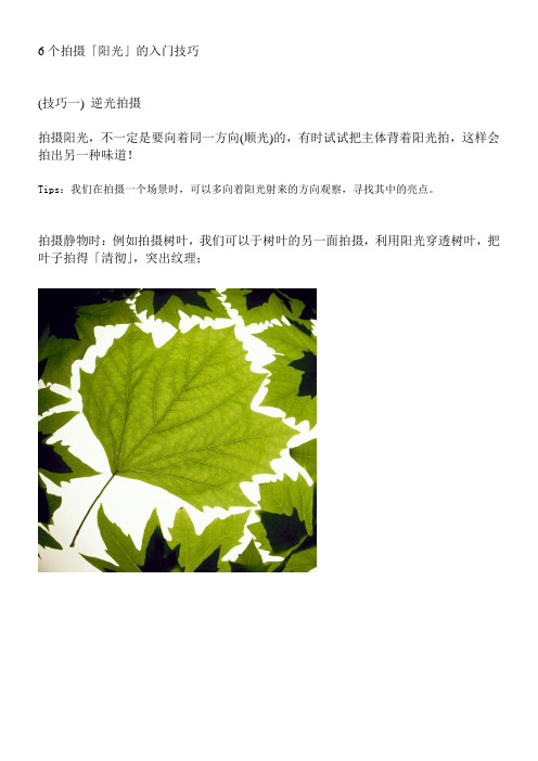 6个拍摄阳光的入门技巧