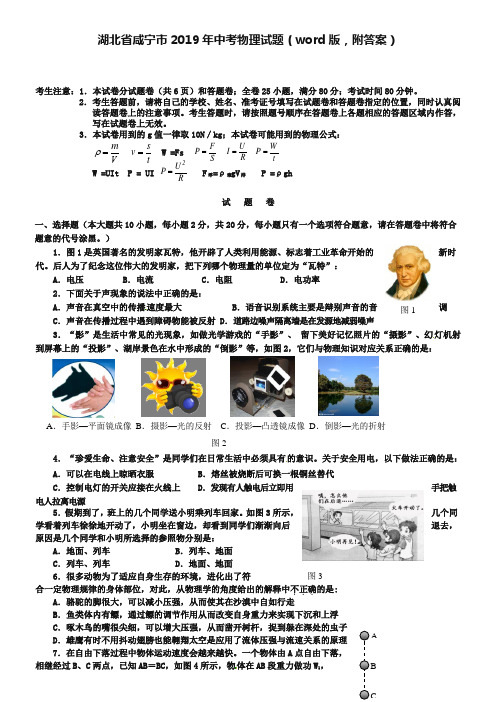 湖北省咸宁市2019年中考物理试题(word版,附答案)