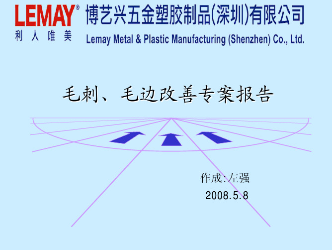 毛刺、毛边改善专案报告