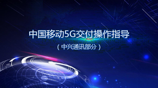 中国移动5G交付操作指导(中兴通讯)