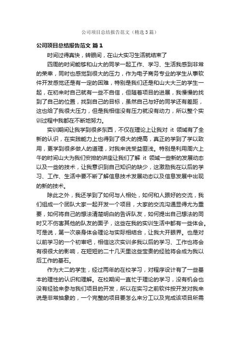 公司项目总结报告范文（精选3篇）