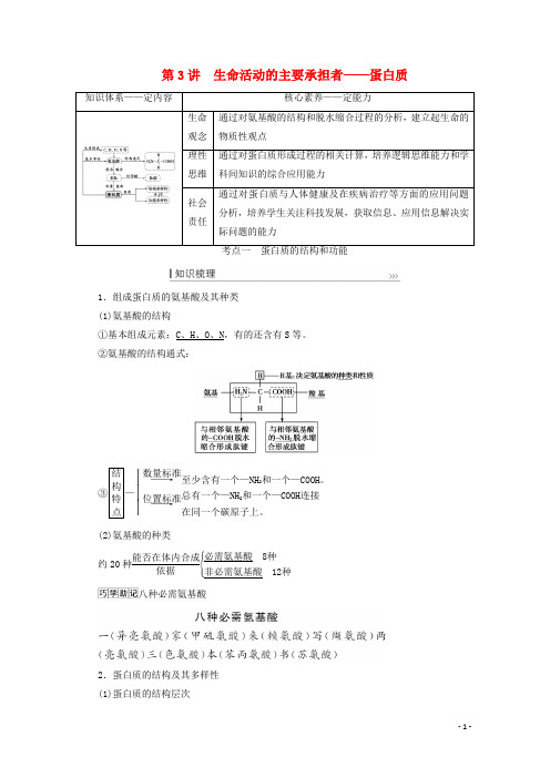 高考生物一轮复习第一单元走近细胞第3讲生命活动的主要承担者__蛋白质教案新人教版