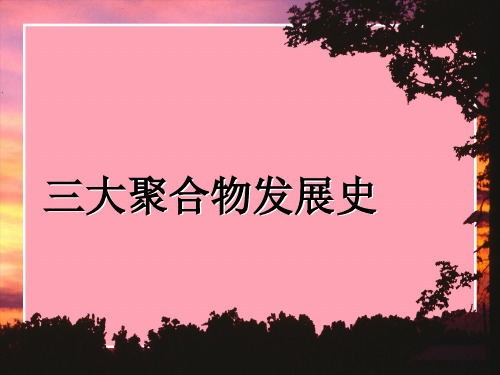 三大聚合物发展史 ppt课件