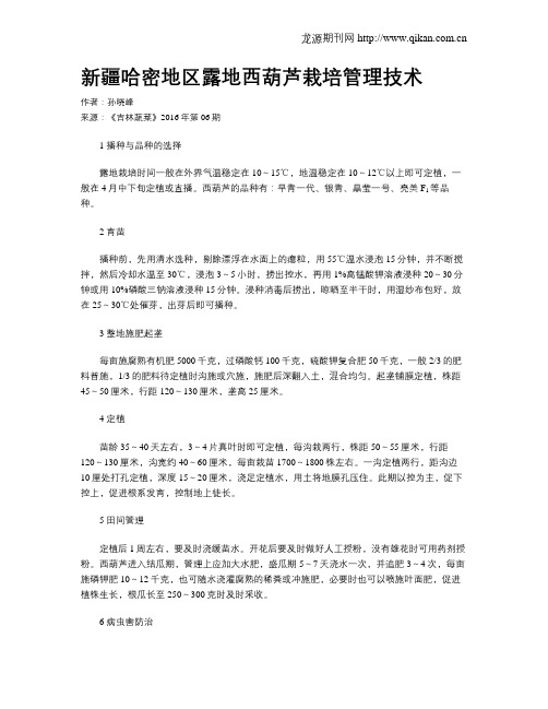 新疆哈密地区露地西葫芦栽培管理技术