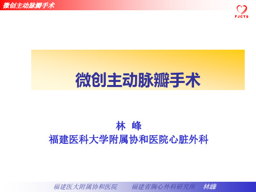 林峰-微创主动脉瓣手术