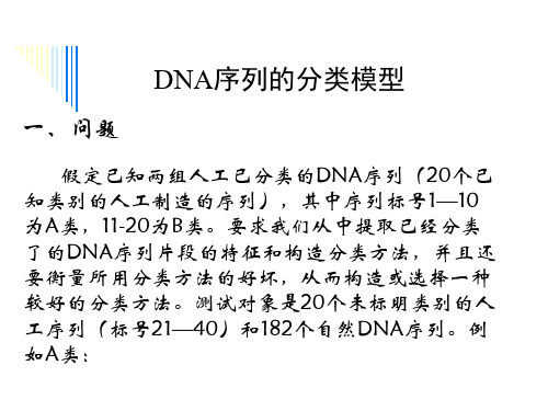 DNA模型(数学建模)