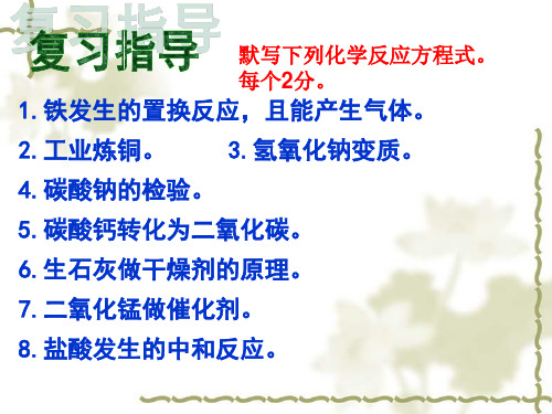 中考化学专题复习：物质成分的实验探究(共16张PPT)