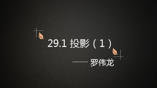 291投影(1)课件-广东省肇庆市高要区金利镇朝阳实验学校人教版九年级数学下册(共10张PPT)
