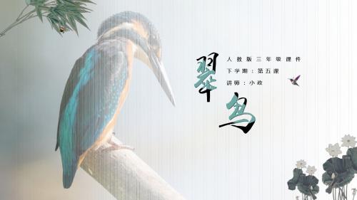 人教版三年级第五课翠鸟PPT课件
