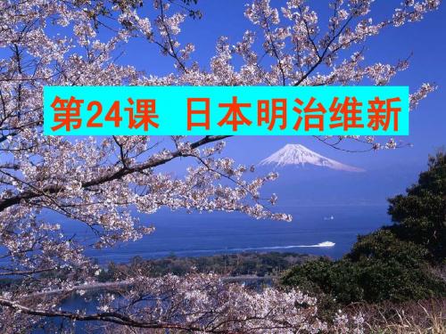 8.3日本明治维新课件(九年级华师大版上册  (10)