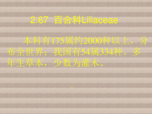 园林树木012-百合科棕榈科68-69
