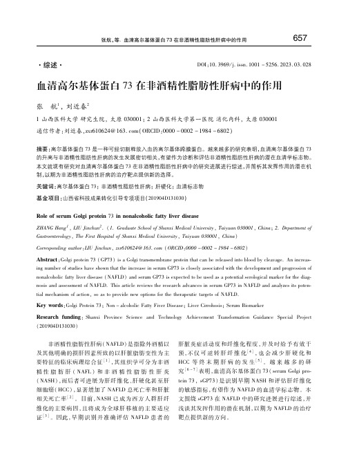 血清高尔基体蛋白73在非酒精性脂肪性肝病中的作用